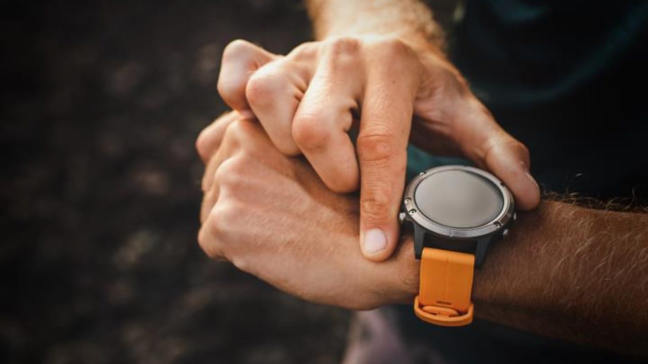 garmin fenix features